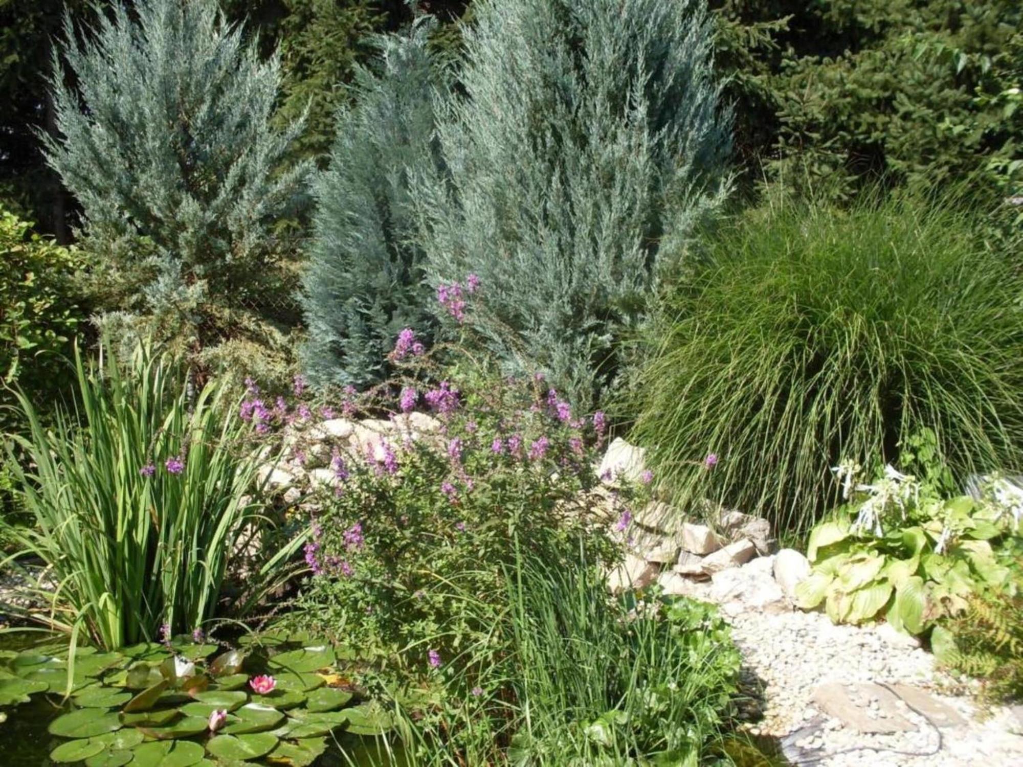 With Pool, Roof Terrace, Garden